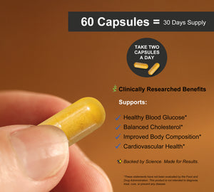 LIPOSOMAL BERBERINE CAPSULES
