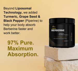 LIPOSOMAL BERBERINE CAPSULES