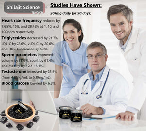 HIMALAYAN SHILAJIT RESIN