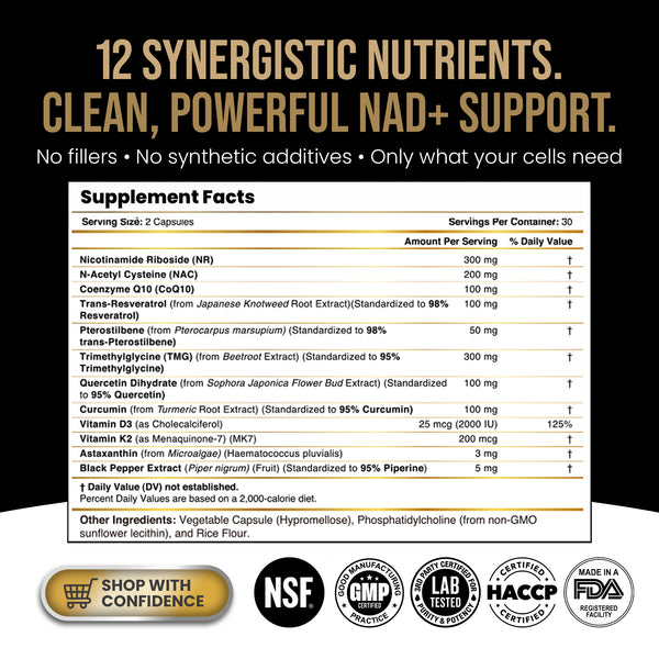 PLANT-BASED LIPOSOMAL NAD+ CAPSULES
