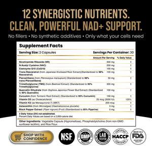 PLANT-BASED LIPOSOMAL NAD+ CAPSULES