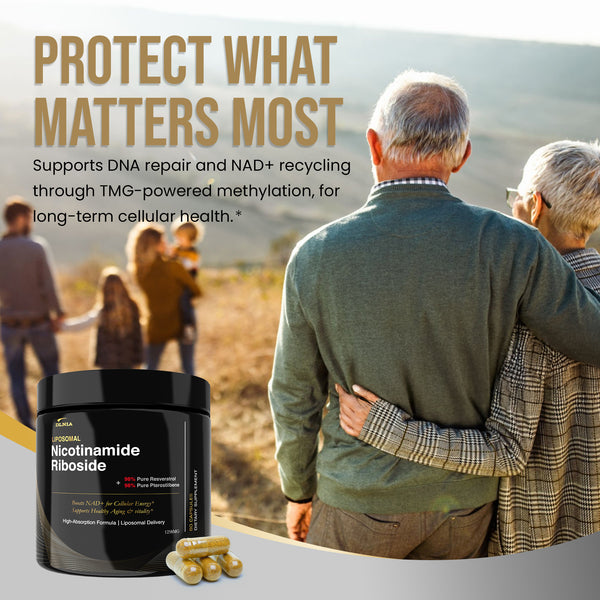 PLANT-BASED LIPOSOMAL NAD+ CAPSULES