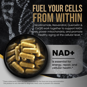 PLANT-BASED LIPOSOMAL NAD+ CAPSULES