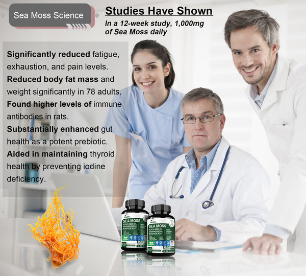 IRISH SEA MOSS COMPLEX