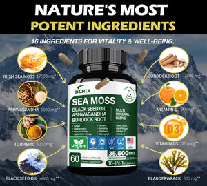 IRISH SEA MOSS COMPLEX