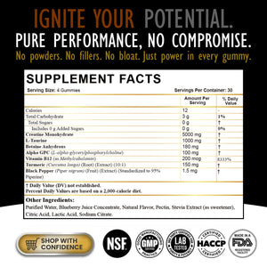 MICRONIZED CREATINE MONOHYDRATE GUMMIES BLUE BERRY